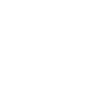 ikona