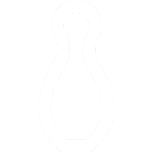 ikona